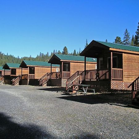 Yosemite Lakes Cabin 40 Harden Flat Eksteriør bilde