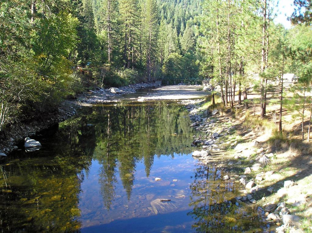 Yosemite Lakes Cabin 40 Harden Flat Eksteriør bilde